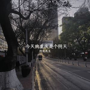 今天的重庆是个阴天