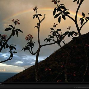 旅行的意义（cover）