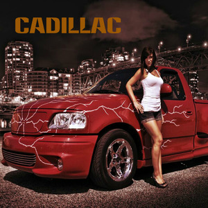 В чёрном панамера