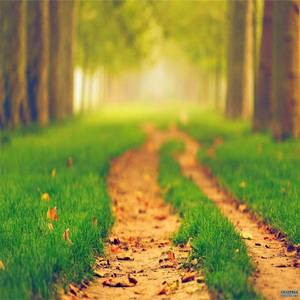 一点点晚风 (治愈纯音乐)