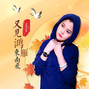 又见鸿雁东南飞（录制版）