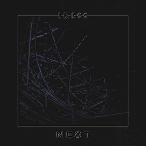 Nest