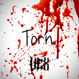 Torn.