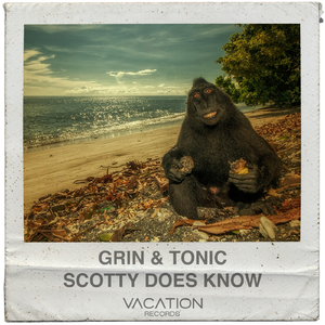 Grin & Tonic (Original Mix)