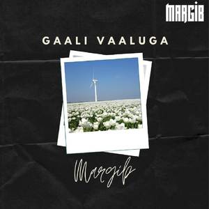 Gaali Vaaluga
