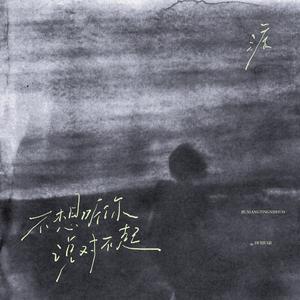 不想听你说对不起