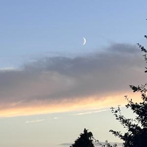 Die eine aus Spanien