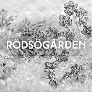 A Christmas Song from Rödsögården