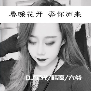 岛屿化作小星星