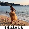 轰炸大电子 (Remix)
