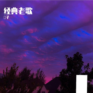 不分手的恋爱 女声翻唱