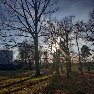 Tareef (feat. Abhishek Pawar) (Instrumental) (Instrumental)