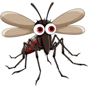 Mosquitoes