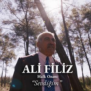 SEVDİĞİM