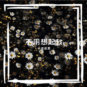 不用想起我