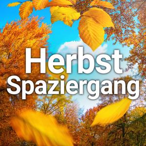 Herbststimmung