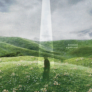 ワウオブザデッド