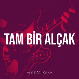 Tam Bir Alçak
