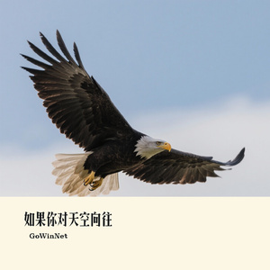 如果你对天空向往