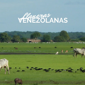 Mi Amiga la Camioneta