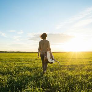 왕벌의 여행 (The Bumblebee)