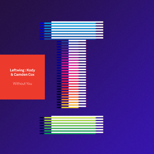 Without You (Extended Mix)