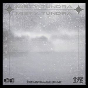 MISTY TUNDRA