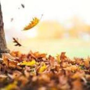 No Diddy (feat. Kwenu)