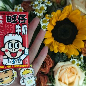 属于我的答案 伴奏