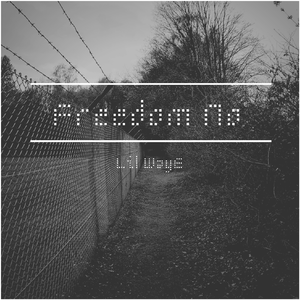 Simon D-Freedom No（Me No Jay Park Remix）（Lil WayE remix）