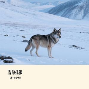 雪原孤狼