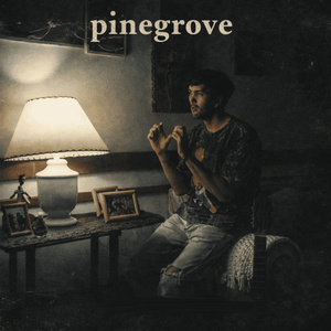 pinegrove