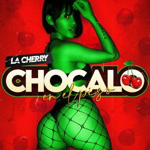 Chocalo en el Piso