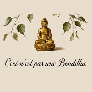 回声的终点 The End of Echo