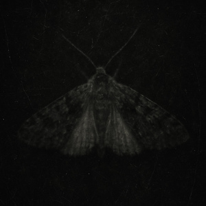 NIGHTFALL UPON THE NAMELESS MIND