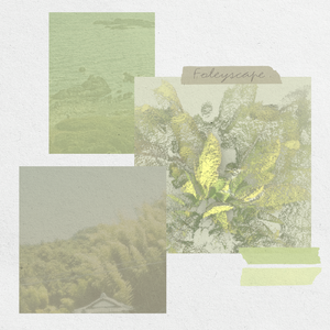 The results of the experiment