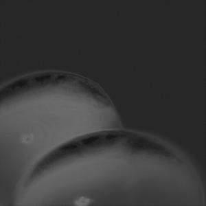 Pleasure Well (Barris Fishman Remix)