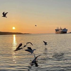 父亲的散文诗（热门原声）