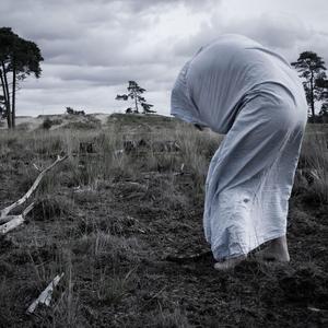 Shallow Pools of Grief