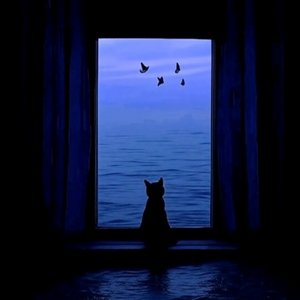 I Will Leave You Words