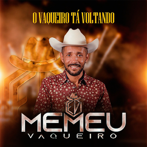 VOANDO ALTO FEITO UM GAVIÃO