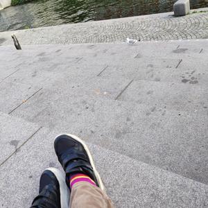 Guastafeste (Buttafuori)