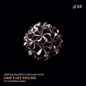 Can't Let You Go (Original mix)