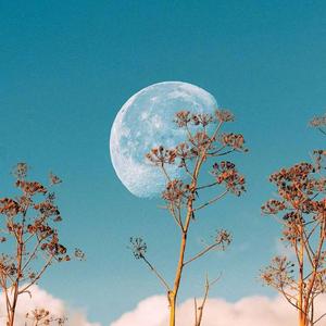 '白日星球' | Chilling type beat