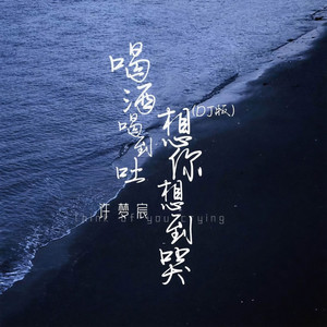 喝酒喝到吐想你想到哭 (DJ版)
