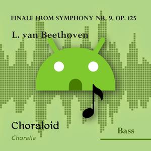 Finale from Symphony nr. 9, op. 125: Andante maestoso (Emphasised voice and other voices)