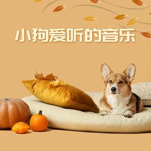 小狗狗必听的音乐