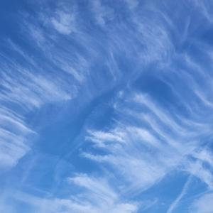 The Smell of Fertilization