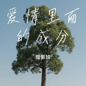 爱情里面的成分