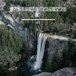 秋去冬来你却不在(次次深爱次次伤害)